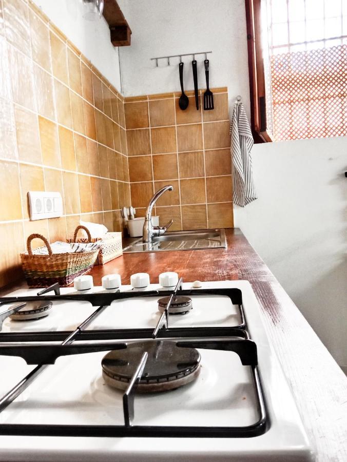 Centro Jerez Suite - Flamenco Apartment 赫雷斯 外观 照片